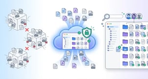 DMS_tabbed content_1